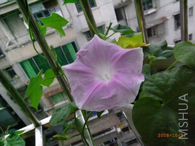 RIMG0220.jpg