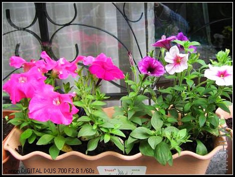 ���������ϰ��������Ʒ��ţ���Һ�������