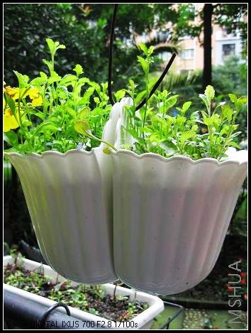 ������С�����еÿ��ˡ�