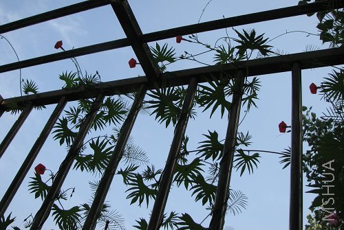 ���� ��̨һ��2.jpg