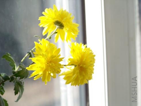 100_0768.JPG
