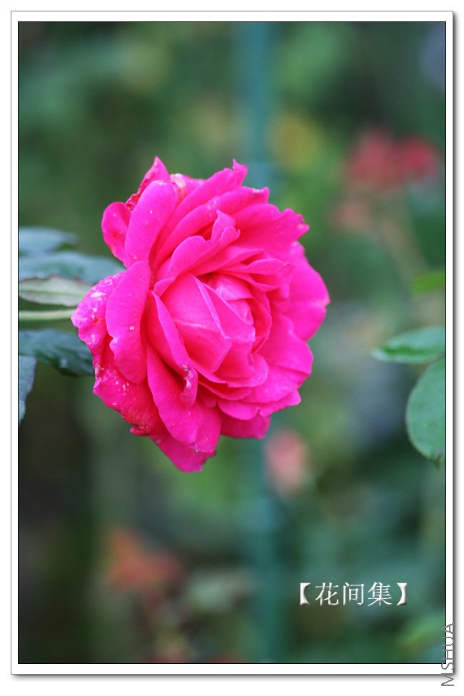 IMG_5351 ����.jpg