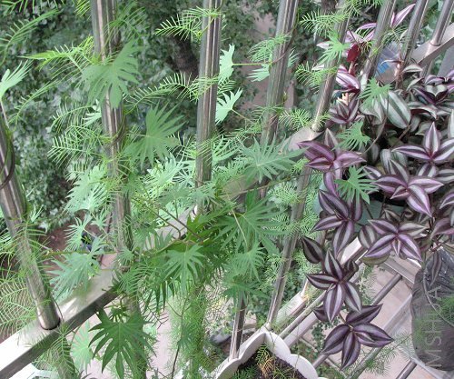 ���� ��̨һ��1.jpg