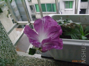 RIMG0235.jpg