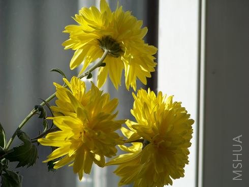 100_0769.JPG