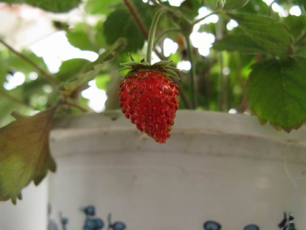 ������С Y- 001.jpg