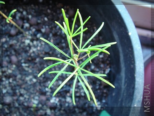 ������ 2.jpg