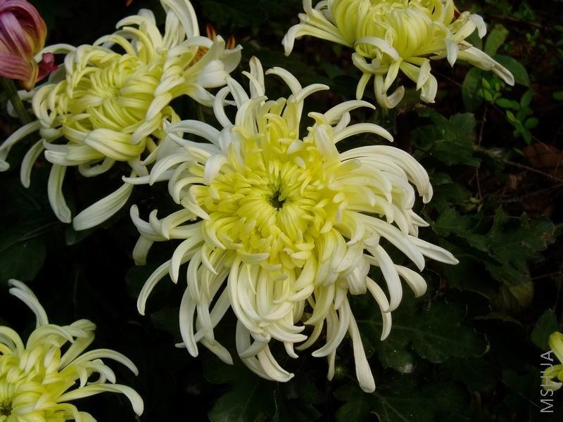 ������С P1010070.JPG