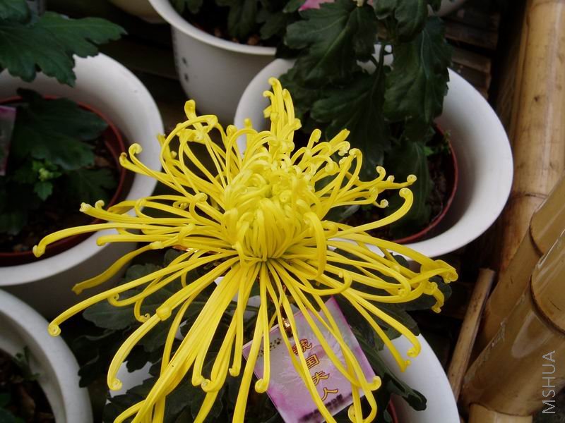 ������С P1010052.JPG