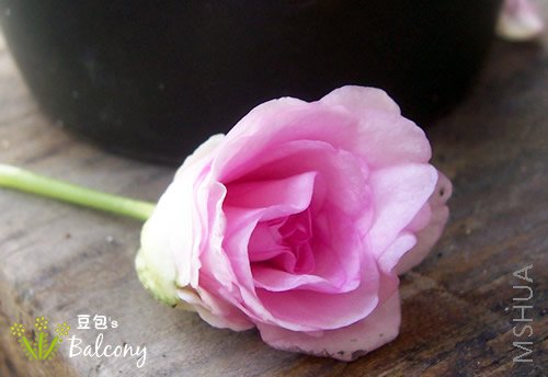 �����Ļ��䣬����ûȫ������