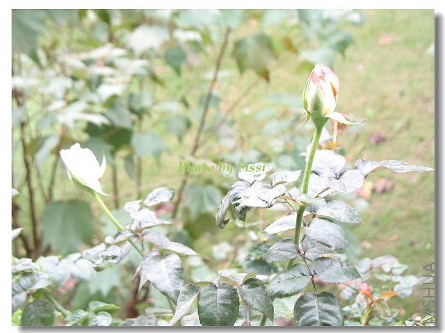 ���͵Ĺ���~