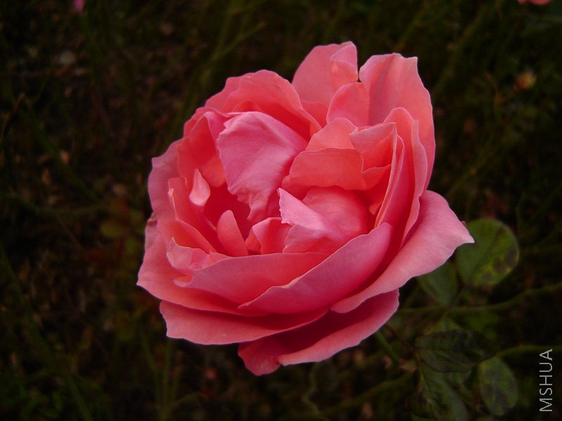 DSC05623.JPG