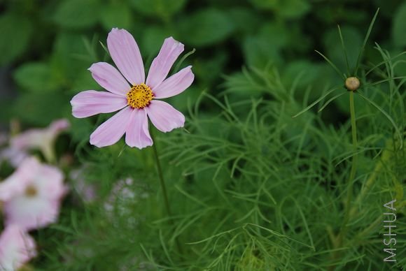 DSC_0845.JPG