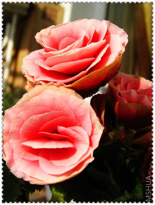 a 018.JPG