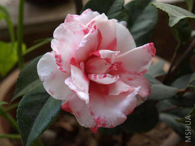 nEO_IMG_PB091344.jpg
