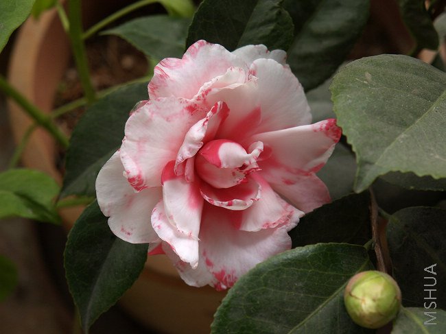 nEO_IMG_PB091341.jpg