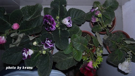 R1099560.jpg