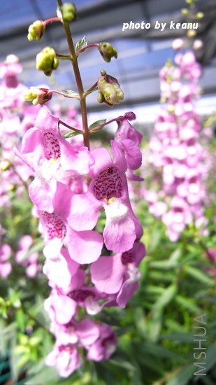 R1099467.jpg
