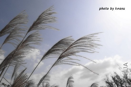 R1099478.jpg