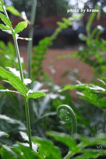 R1099488.jpg