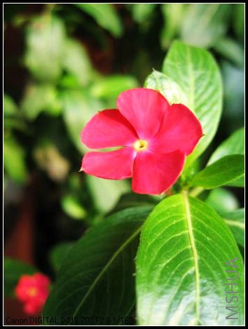 ����Խ��ԽС�����մ�