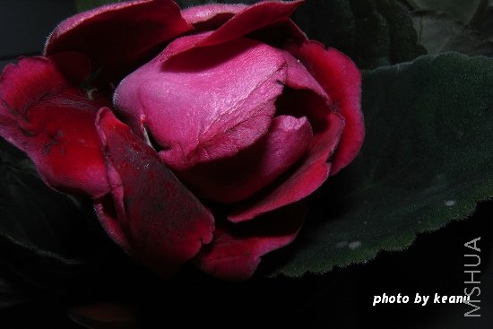 R1099549.jpg