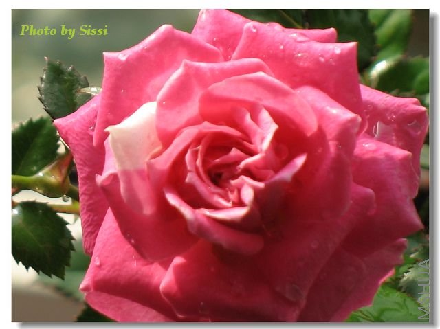 ������Щ����~