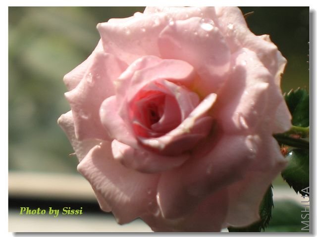 �������͵����ϵ��ѻ�~