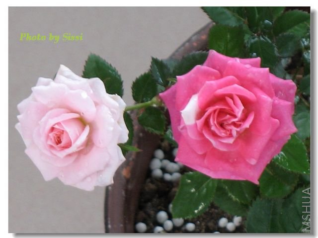 ���ͻ�����~