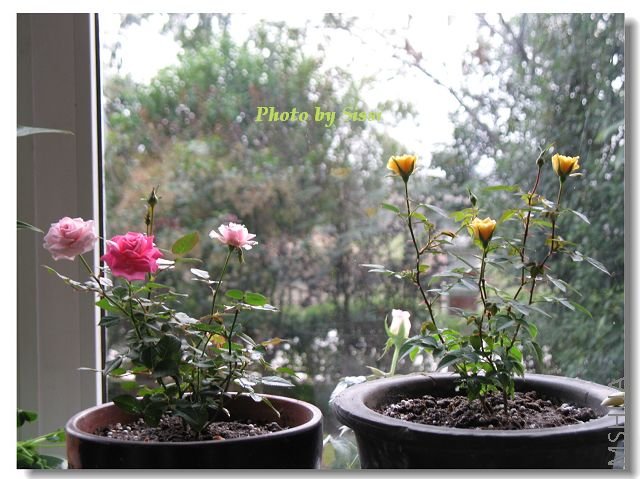 �����㣬�ܿɰ�~