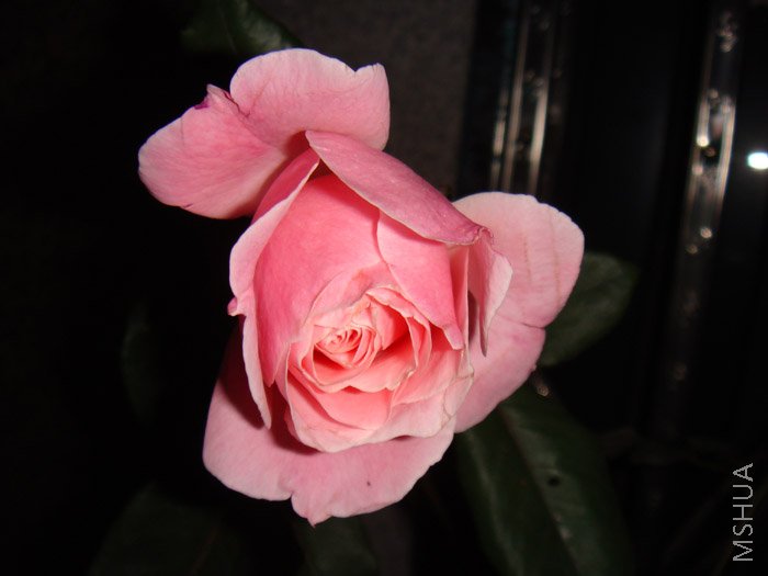 ��Ƭ 007.jpg