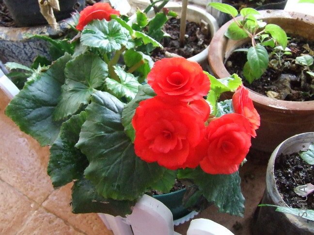 DSCF9868.jpg