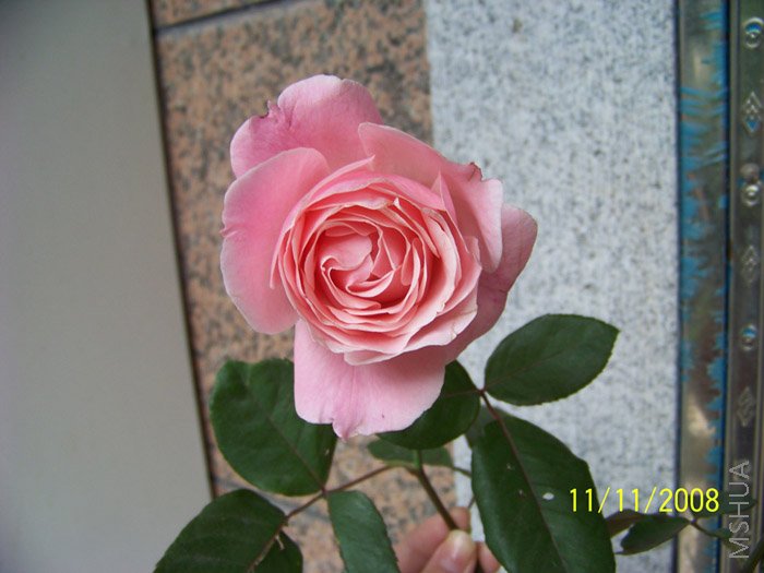 ��Ƭ 002.jpg