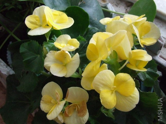 DSCF9856.jpg