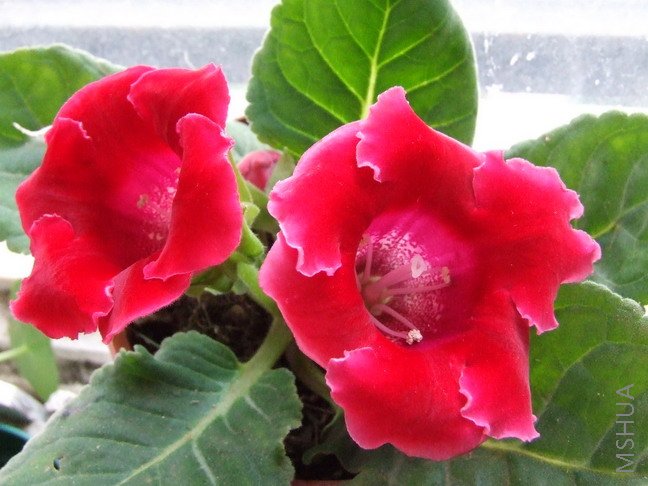 �����Ѿ��кü����������ǲ��Ǳȸյ��ҵ�ʱ��Ư������