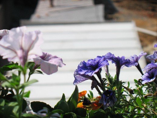 BigBull_nEO_IMG_��Ƭ 030.jpg