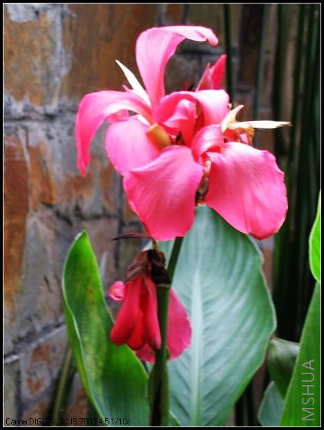 �����˽�