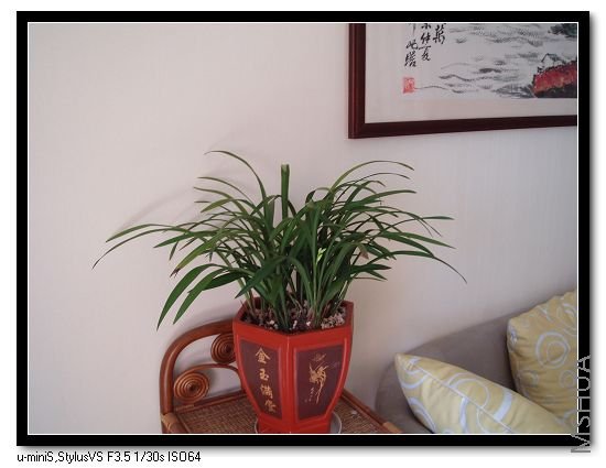 �ϰ�����ҽ������ֵģ�������������