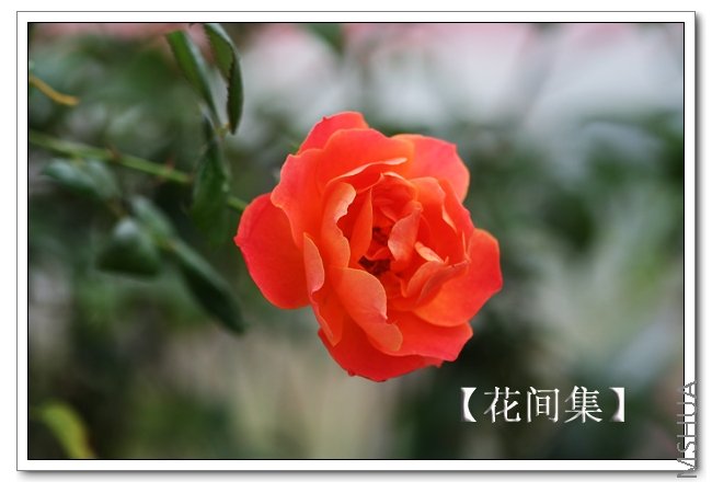 IMG_5357 ����.jpg