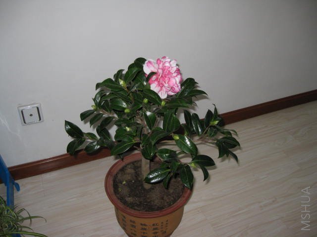 IMG_0048.JPG