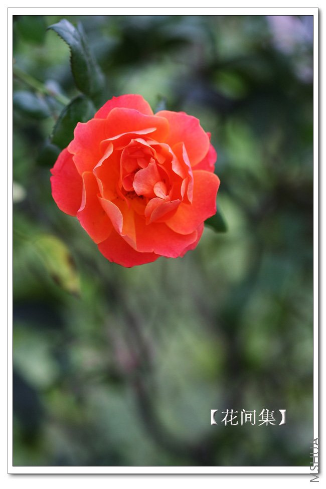 IMG_5359 ����.jpg