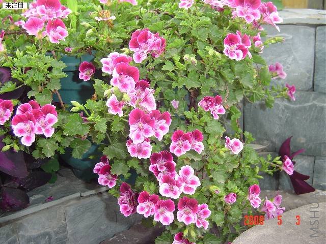 DSC09641.JPG