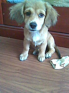 һ����ǰ�������Ӻ�Ь