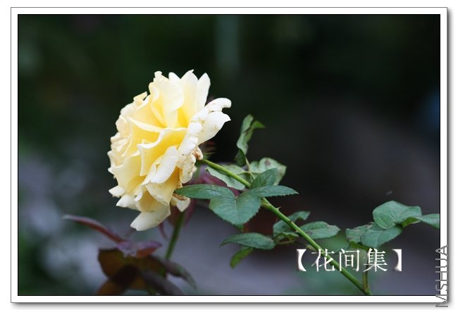 IMG_5149 ����.jpg