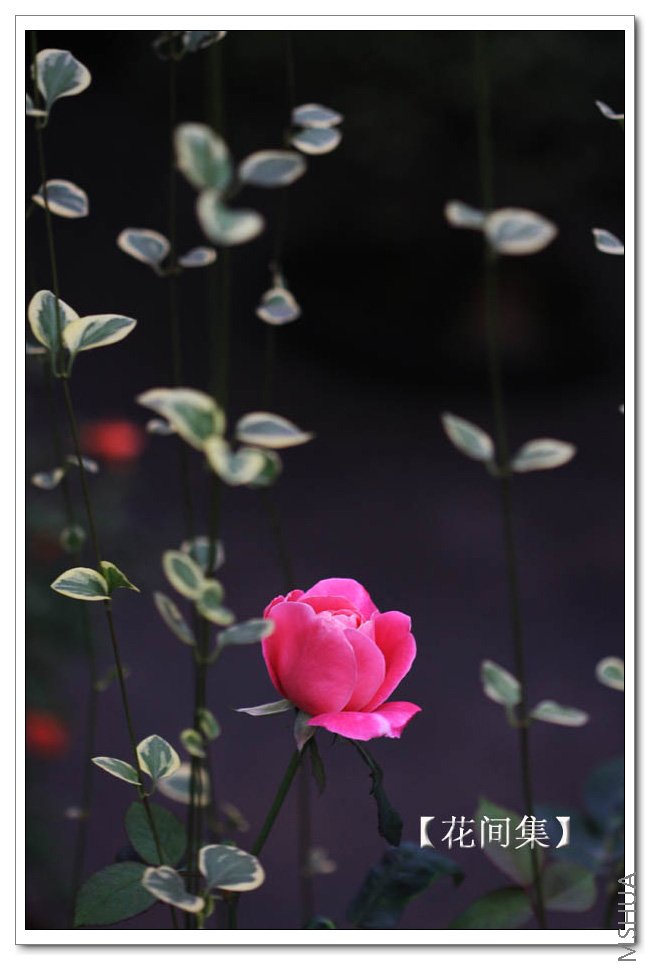 IMG_5851 ����.jpg