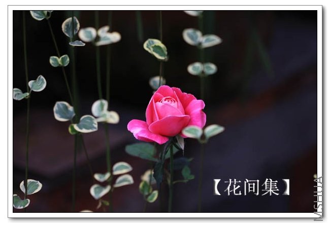 IMG_5849 ����.jpg