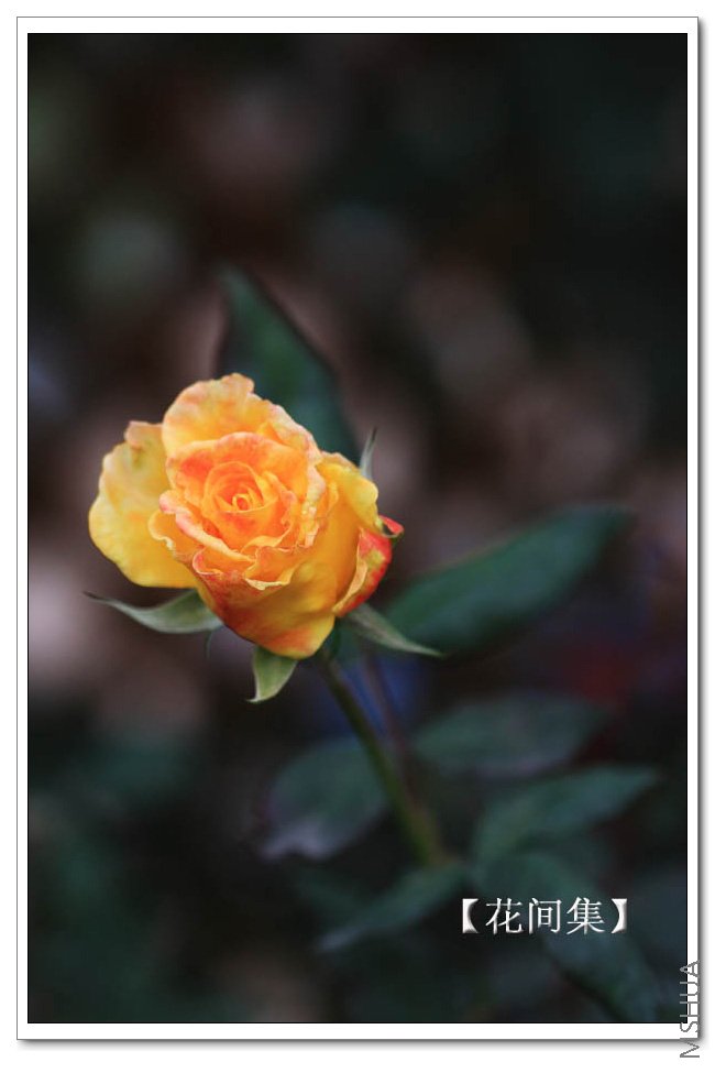 IMG_5908 ����.jpg