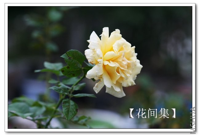 IMG_5150 ����.jpg