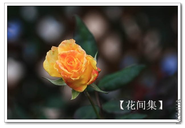 IMG_5907 ����.jpg