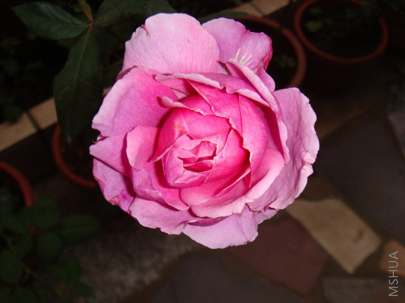 DSC01865.JPG